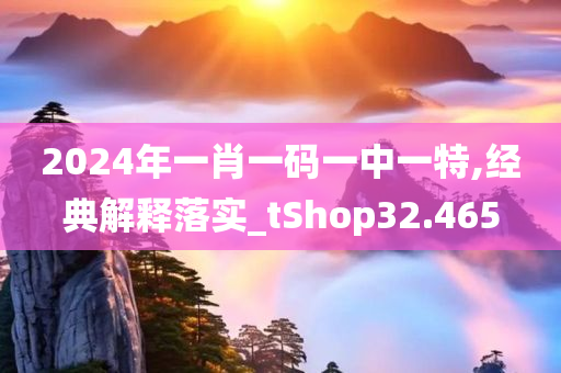 2024年一肖一码一中一特,经典解释落实_tShop32.465