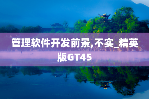 管理软件开发前景,不实_精英版GT45