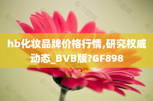 hb化妆品牌价格行情,研究权威动态_BVB版?GF898