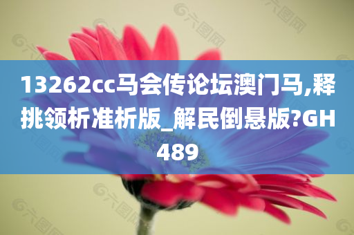 13262cc马会传论坛澳门马,释挑领析准析版_解民倒悬版?GH489