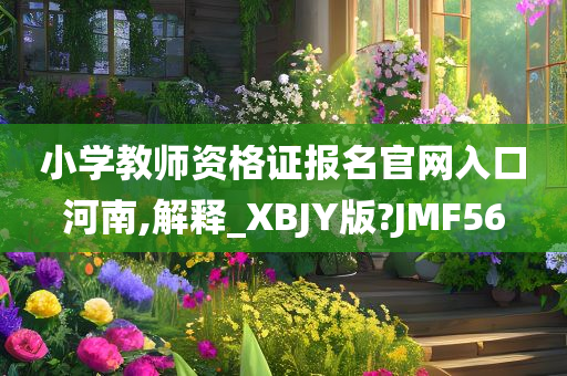 小学教师资格证报名官网入口河南,解释_XBJY版?JMF56