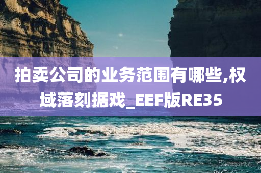 拍卖公司的业务范围有哪些,权域落刻据戏_EEF版RE35