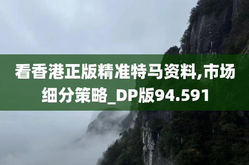 看香港正版精准特马资料,市场细分策略_DP版94.591