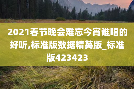 2021春节晚会难忘今宵谁唱的好听,标准版数据精英版_标准版423423