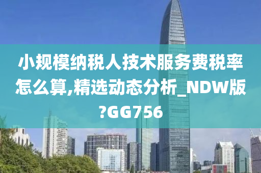 小规模纳税人技术服务费税率怎么算,精选动态分析_NDW版?GG756