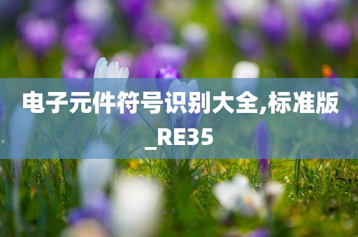 电子元件符号识别大全,标准版_RE35