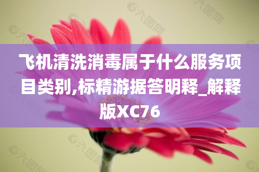 飞机清洗消毒属于什么服务项目类别,标精游据答明释_解释版XC76