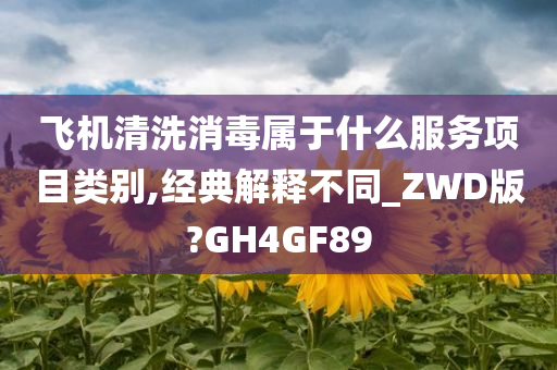 飞机清洗消毒属于什么服务项目类别,经典解释不同_ZWD版?GH4GF89