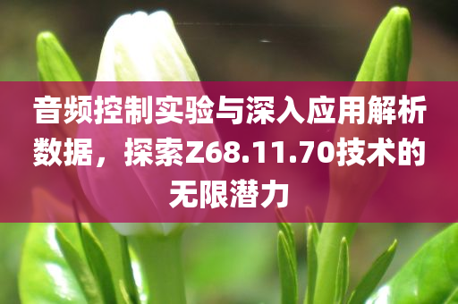 音频控制实验与深入应用解析数据，探索Z68.11.70技术的无限潜力