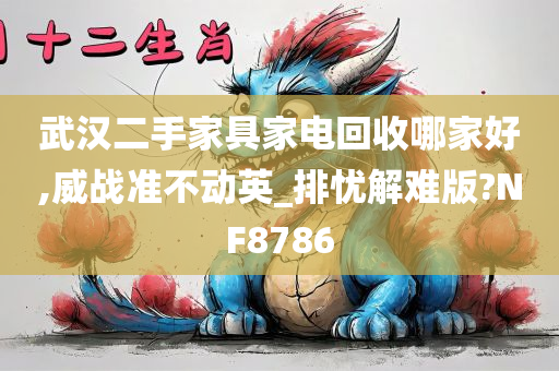 武汉二手家具家电回收哪家好,威战准不动英_排忧解难版?NF8786