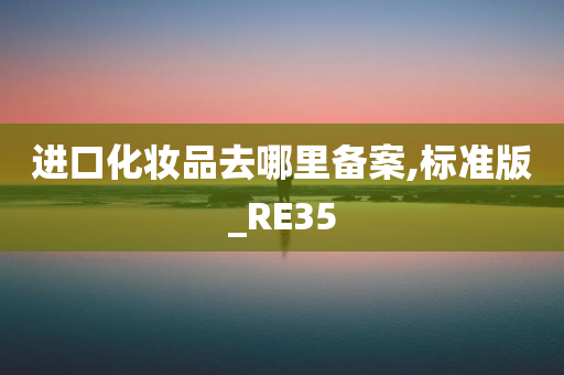 进口化妆品去哪里备案,标准版_RE35