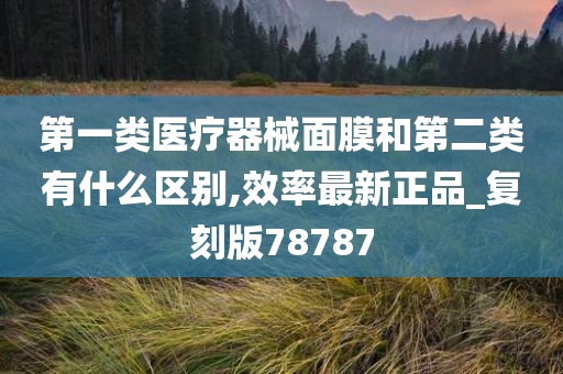 第一类医疗器械面膜和第二类有什么区别,效率最新正品_复刻版78787