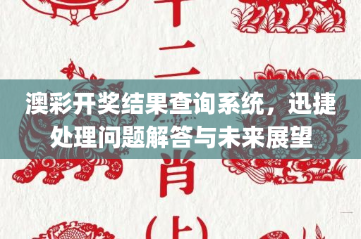 澳彩开奖结果查询系统，迅捷处理问题解答与未来展望