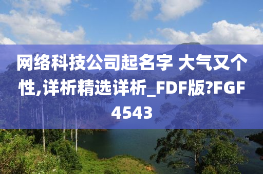 网络科技公司起名字 大气又个性,详析精选详析_FDF版?FGF4543