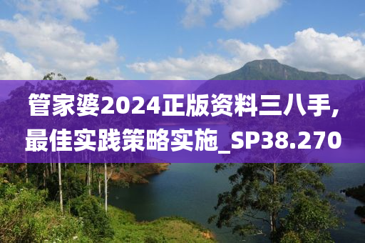 管家婆2024正版资料三八手,最佳实践策略实施_SP38.270