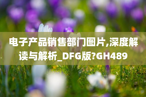 电子产品销售部门图片,深度解读与解析_DFG版?GH489