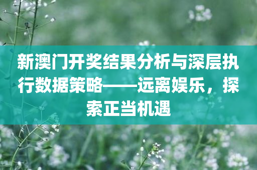 新澳门开奖结果分析与深层执行数据策略——远离娱乐，探索正当机遇