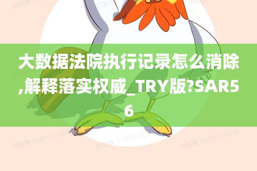 大数据法院执行记录怎么消除,解释落实权威_TRY版?SAR56