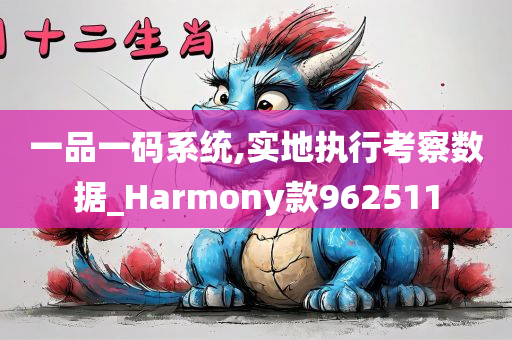 一品一码系统,实地执行考察数据_Harmony款962511