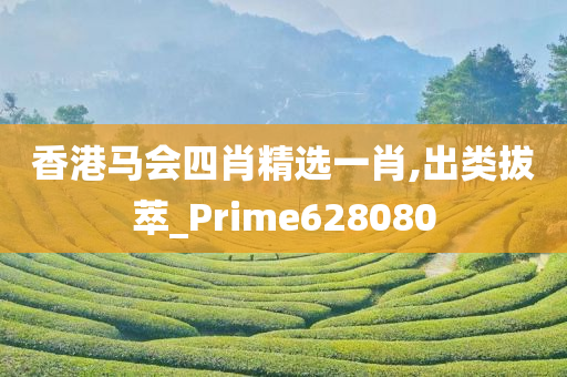 香港马会四肖精选一肖,出类拔萃_Prime628080