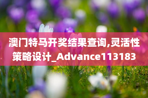 澳门特马开奖结果查询,灵活性策略设计_Advance113183