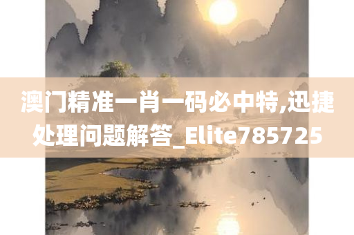 澳门精准一肖一码必中特,迅捷处理问题解答_Elite785725