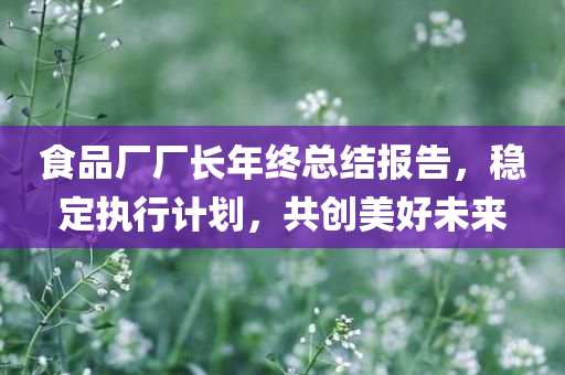 食品厂厂长年终总结报告，稳定执行计划，共创美好未来