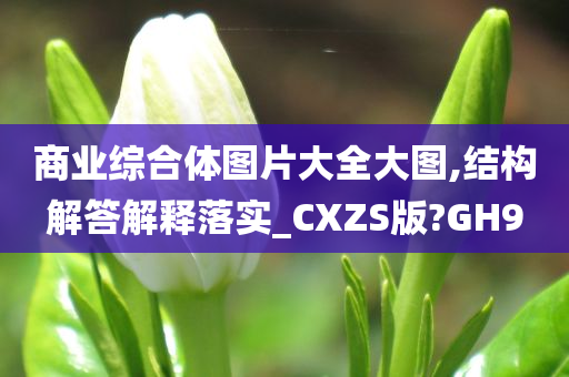 商业综合体图片大全大图,结构解答解释落实_CXZS版?GH9