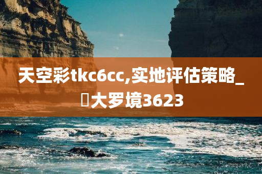 天空彩tkc6cc,实地评估策略_‌大罗境3623