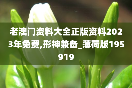 老澳门资料大全正版资料2023年免费,形神兼备_薄荷版195919