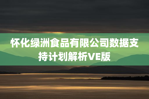 怀化绿洲食品有限公司数据支持计划解析VE版