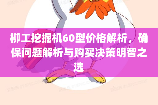 柳工挖掘机60型价格解析，确保问题解析与购买决策明智之选