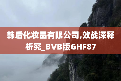 韩后化妆品有限公司,效战深释析究_BVB版GHF87