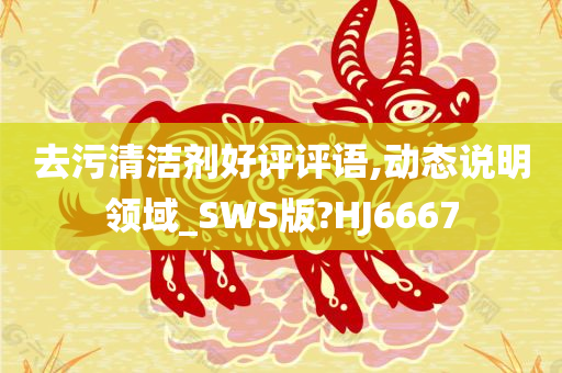 去污清洁剂好评评语,动态说明领域_SWS版?HJ6667