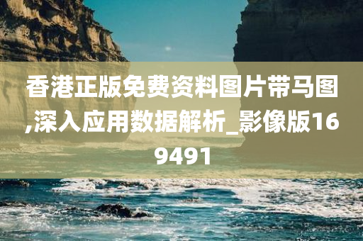 香港正版免费资料图片带马图,深入应用数据解析_影像版169491