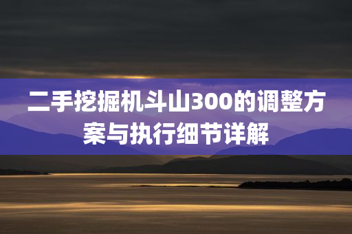 二手挖掘机斗山300的调整方案与执行细节详解