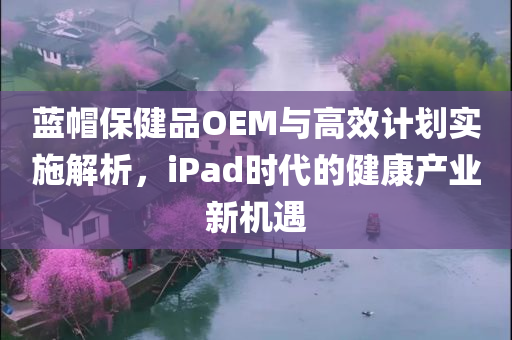 蓝帽保健品OEM与高效计划实施解析，iPad时代的健康产业新机遇