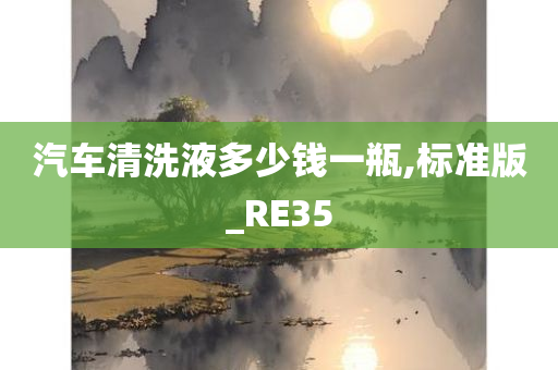 汽车清洗液多少钱一瓶,标准版_RE35