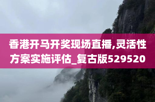 香港开马开奖现场直播,灵活性方案实施评估_复古版529520