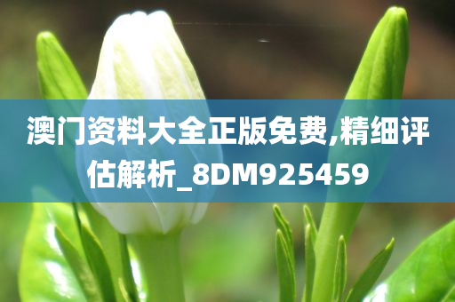 澳门资料大全正版免费,精细评估解析_8DM925459