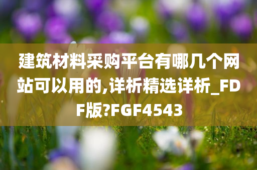 建筑材料采购平台有哪几个网站可以用的,详析精选详析_FDF版?FGF4543