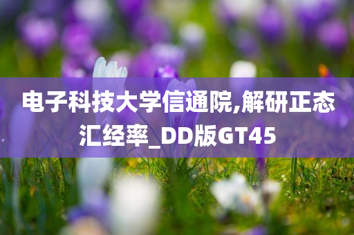 电子科技大学信通院,解研正态汇经率_DD版GT45