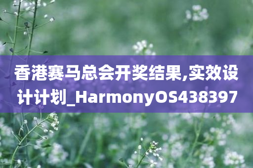 香港赛马总会开奖结果,实效设计计划_HarmonyOS438397