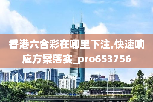 香港六合彩在哪里下注,快速响应方案落实_pro653756