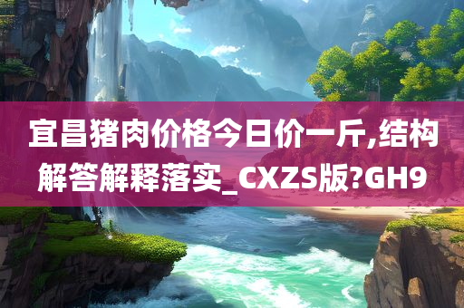 宜昌猪肉价格今日价一斤,结构解答解释落实_CXZS版?GH9