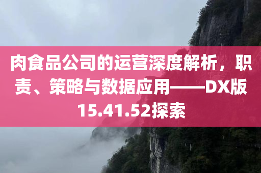 肉食品公司的运营深度解析，职责、策略与数据应用——DX版15.41.52探索