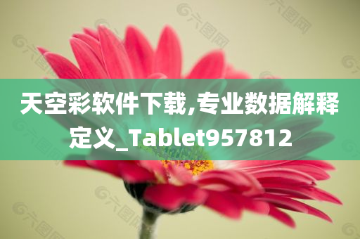 天空彩软件下载,专业数据解释定义_Tablet957812