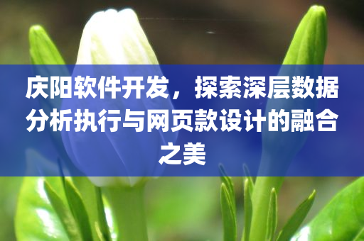 庆阳软件开发，探索深层数据分析执行与网页款设计的融合之美