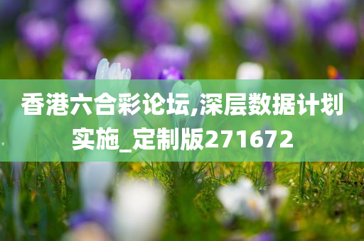 香港六合彩论坛,深层数据计划实施_定制版271672