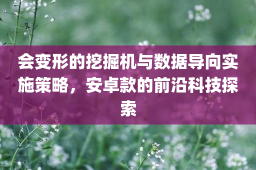 会变形的挖掘机与数据导向实施策略，安卓款的前沿科技探索